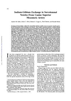 Sodium-Lithium Exchange in Sarcolemmal Vesicles From Canine