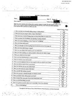 Exh.129.003 &ndash; Maysi-2 Questionnaire [PDF 435KB]