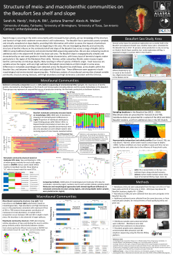 Beaufort Sea Study Area Meiofaunal Communities Macrofaunal