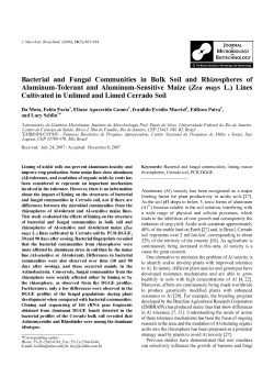 Bacterial and Fungal Communities in Bulk Soil and Rhizospheres of
