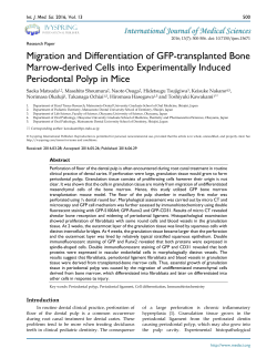 Migration and Differentiation of GFP