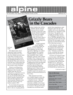 Grizzly Bears in the Cascades - Alpine Lakes Protection Society