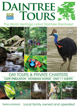 cape tribulation - mossman gorge - only 11 guests