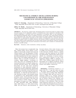 mechanical energy oscillations during locomotion in the harvestman