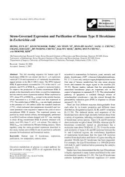 Stress-Governed Expression and Purification of Human Type II