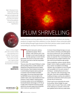 plum shrivelling - Hortgro Science