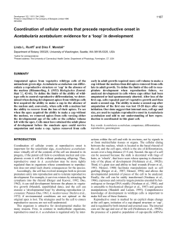 Coordination of cellular events that precede