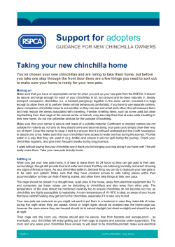 Taking your new chinchillas home (PDF 174 KB)