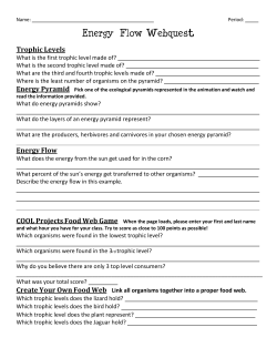 Energy Flow Webquest