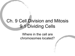 Ch. 9 Cell Division and Mitosis 9.1 Dividing Cells
