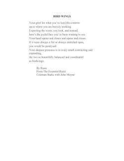 BIRD WINGS Your grief for what you`ve lost lifts a mirror up to where
