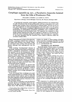 Cytophaga aquatilis sp. nov., a Facultative Anaerobe Isolated from