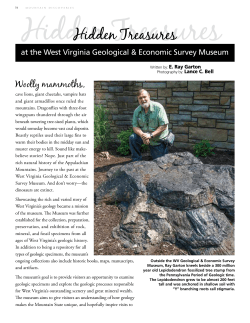 Hidden Treasures at the WV Geological Museum