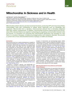 Mitochondria: In Sickness and in Health
