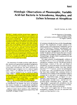 Histologic Observations of Pleomorphic, Variably Acid