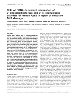 Role of PCNA-dependent stimulation of 3`