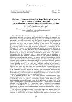 The latest Permian calcareous algae of the Changxingian from the