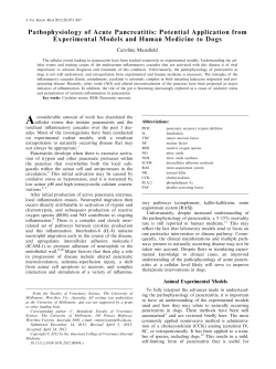Pathophysiology of Acute Pancreatitis