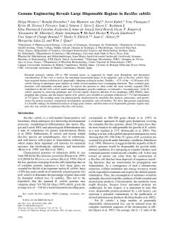Genome Engineering Reveals Large Dispensable Regions in
