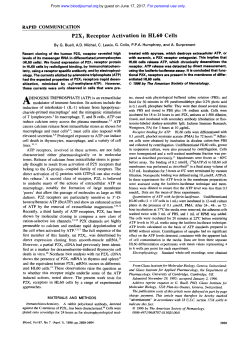 P2X1 Receptor Activation in HL60 Cells