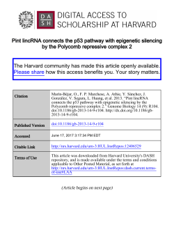 Full Text - Digital Access to Scholarship at Harvard