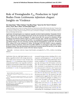 Role of Prostaglandin F2&alpha; Production in Lipid Bodies From