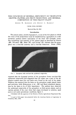 THE INFLUENCE OF MINERAL DEFICIENCY ON VEGETATIVE