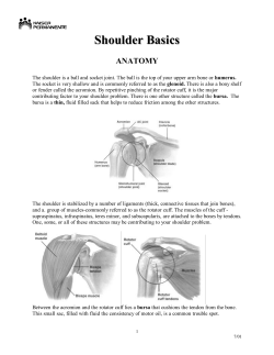 Shoulder Basics - Kaiser Permanente Thrive