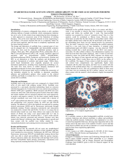starch/cellulose acetate and its adequability to be used as scaffolds