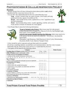 Photosynthesis and Cellular Respiration Poster Project