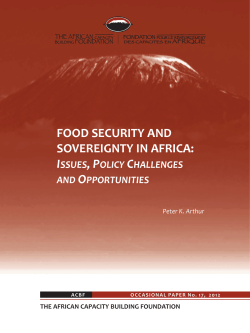 Occasional Paper 17 Cover.cdr