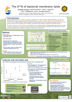 CSIA of nitrogen containing lipids and their amino acid precursors