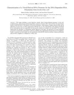 Characterization of a Viroid-Derived RNA Promoter for the DNA