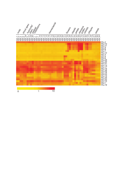 roots shoot apex stem leaves/aerial flowers sepalspetals stamens