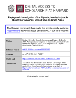 Full Text - Harvard University