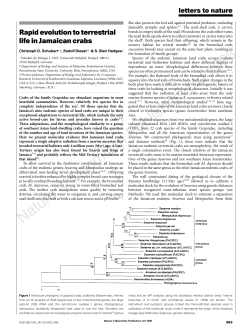 Rapid evolution to terrestrial life in Jamaican crabs