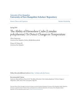 The Ability of Horseshoe Crabs (Limulus