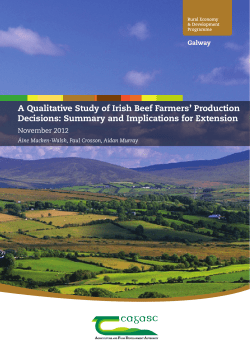 A Qualitative Study of Irish Beef Farmers` Production