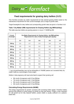 Feed requirements for grazing dairy heifers