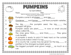 Pumpkins - Wise Owl Factory