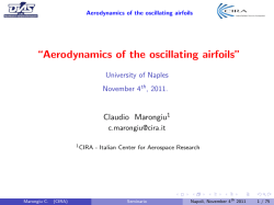 ``Aerodynamics of the oscillating airfoils`` 0.5cm University of Naples