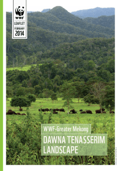 Dawna Tenasserim LanDscape