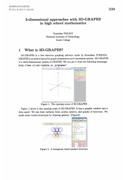 数理解析研究所講究録 第1951巻 - RIMS, Kyoto University