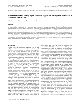 Mitochondrial DNA coding region sequences support