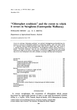 Chloroplast symbiosis and the extent to which it occurs in
