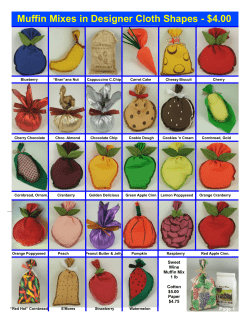 Muffin Mixes in Designer Cloth Shapes - $4.00