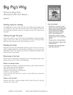 Big Pig`s Wig - Alpha Literacy