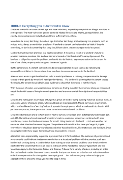 MOULD: Everything you didn`t want to know