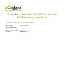 Final report - Los Fiordos