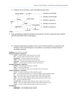 Practice: Food Chains, Food Webs and Energy Pyramids